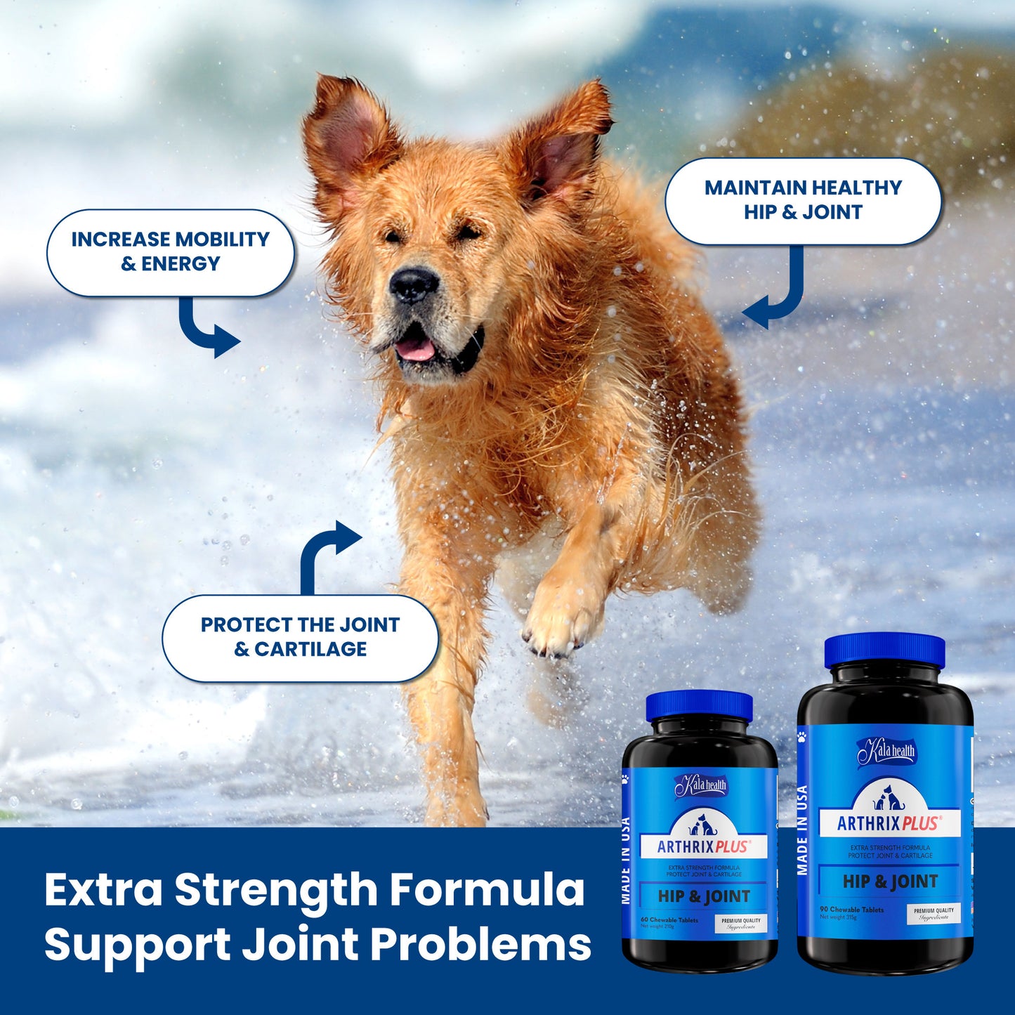 Arthrix Plus®