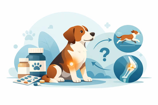 When Do Dog Joint Supplements Work?