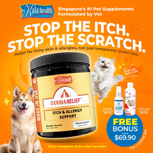 Itch Relief Bundle