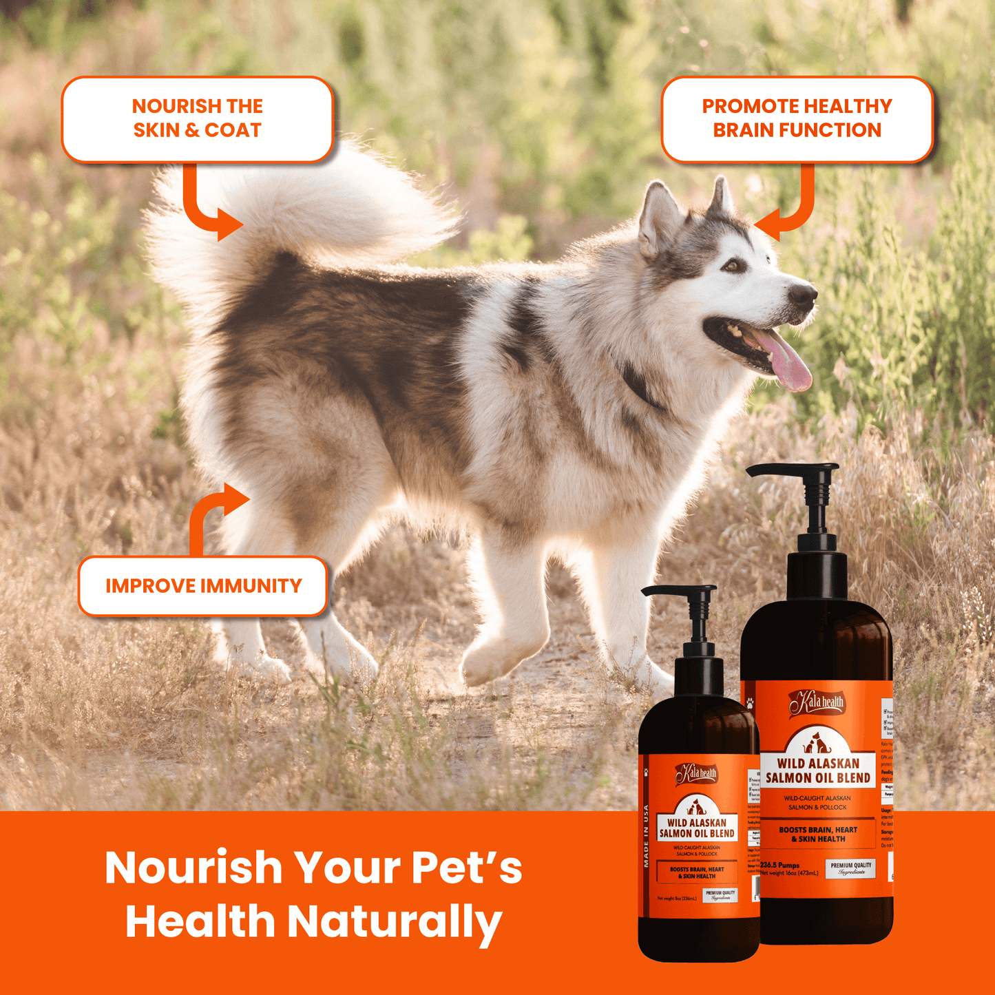 Wild Alaskan Salmon Oil Blend