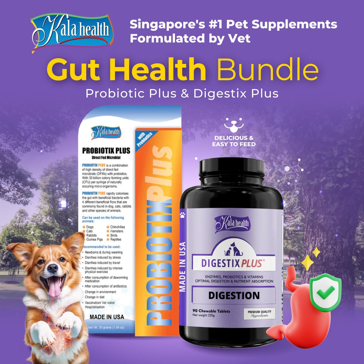 Gut Health Bundle