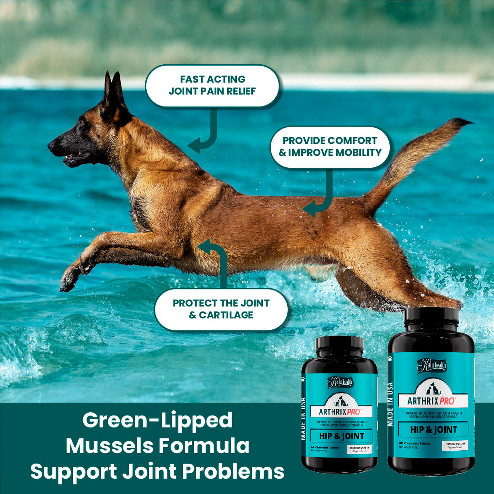 Arthrix Pro – Kala Health SG